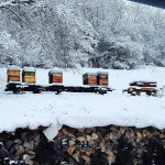 #winter Ruhe auf allen Bienenständen...
